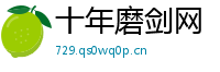 十年磨剑网